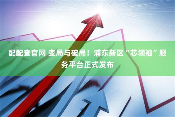 配配查官网 变局与破局！浦东新区“芯领袖”服务平台正式发布