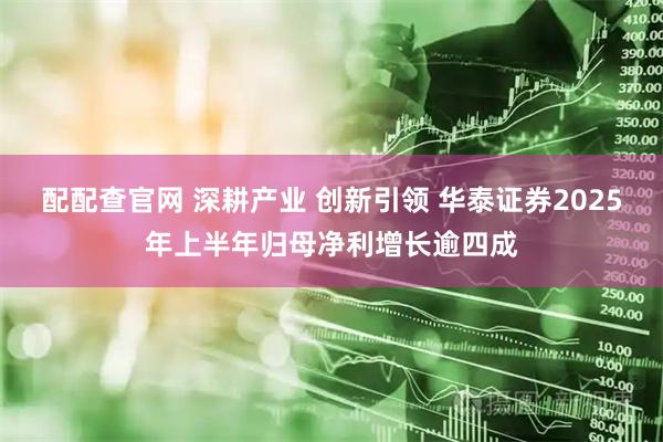 配配查官网 深耕产业 创新引领 华泰证券2025年上半年归母净利增长逾四成