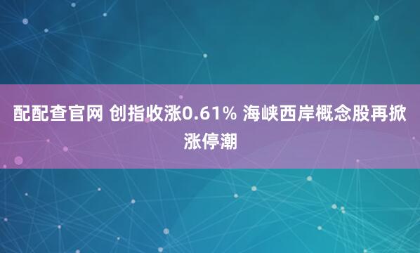 配配查官网 创指收涨0.61% 海峡西岸概念股再掀涨停潮