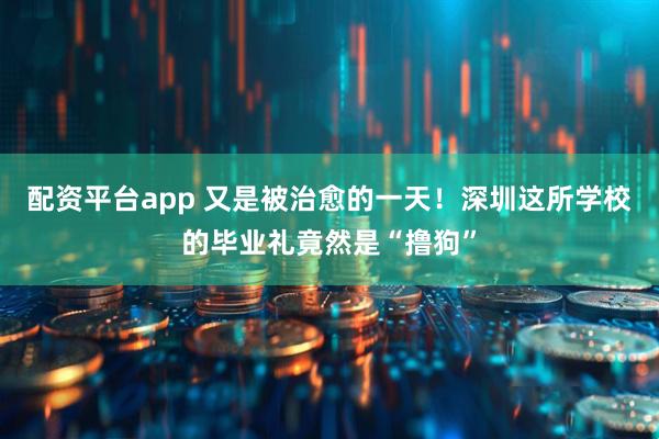 配资平台app 又是被治愈的一天！深圳这所学校的毕业礼竟然是“撸狗”
